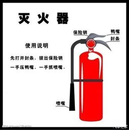 汽车能装多少个灭火器(汽车能装多少个灭火器，数量与选择的重要性)