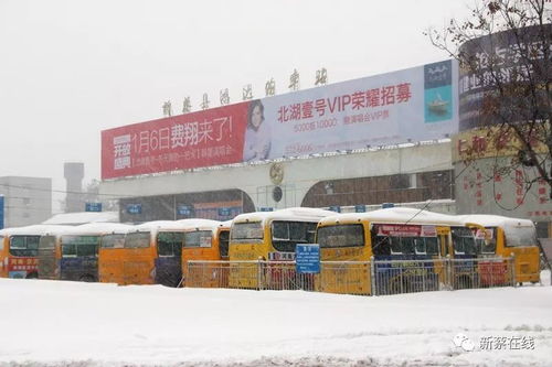 新蔡至武汉汽车站多少钱(新蔡至武汉汽车站票价解析，多少钱，如何走？