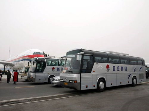 北京到隆尧汽车票多少钱(北京到隆尧汽车票价详解，费用、路线与旅行建议)