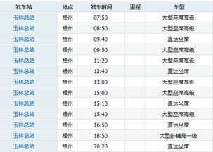 泸州到玉林汽车票多少钱(泸州到玉林汽车票价查询，行程费用详解)