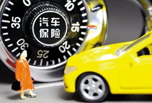 汽车驱逐器多少钱一个(汽车驱逐器价格概览，多少钱一个？