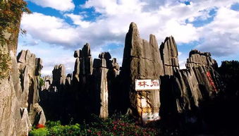 石林到江川汽车票多少钱(石林到江川汽车票价详解)