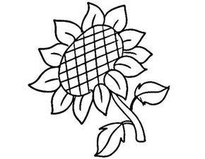 华为电脑怎么画花屏图片(华为电脑画花屏图片的方法与步骤详解)