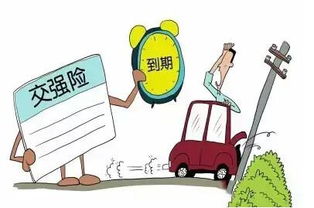汽车保险交多少年不亏(汽车保险，如何选择合适的保险期限以实现投资回报最大化)