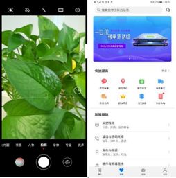 华为电脑怎么播抖音(华为电脑如何轻松播放抖音,详细步骤与操作指南) 华为电脑怎么播抖音(华为电脑如何轻松播放抖音,详细步骤与操作指南)