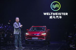 威合悦电动汽车多少钱(威合悦电动汽车价格解析及市场洞察)