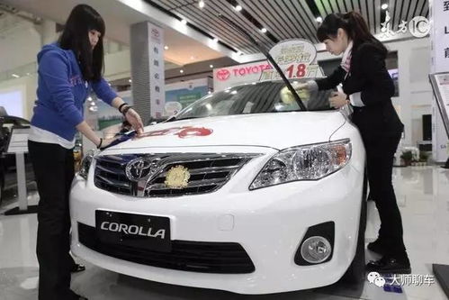 高大上汽车改装多少钱(高大上汽车改装费用揭秘，多少钱才能实现你的改装梦想？