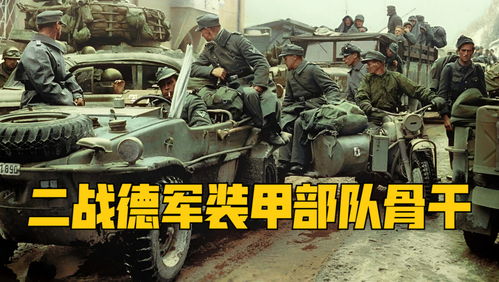 国军一个师有多少汽车(国军一个师的汽车装备数量探究)