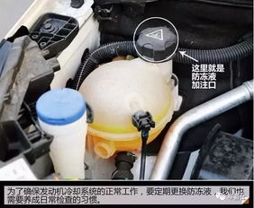 冬天汽车防冻液多少升的(冬天汽车防冻液的使用量与选择，多少升的探讨)
