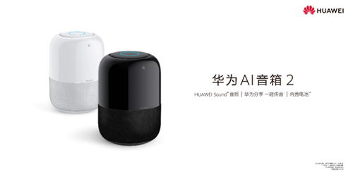 华为音箱电脑上怎么调音(华为音箱电脑调音全攻略，音质升级，畅享音乐盛宴)