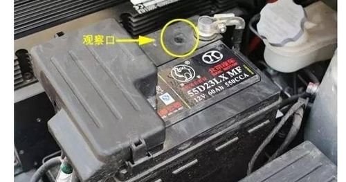 小汽车的电瓶是多少伏电(小汽车的电瓶电压揭秘，多少伏电？