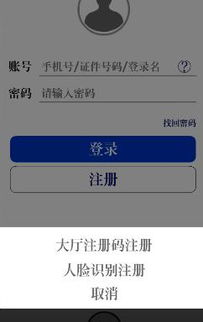 华为电脑邮箱密码怎么填(华为电脑邮箱密码如何填写，详细指南)
