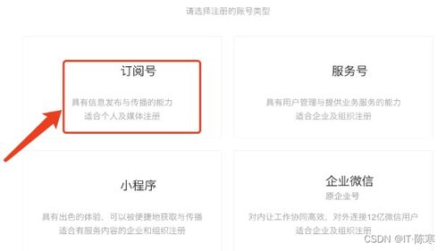 华为电脑邮箱密码怎么填(华为电脑邮箱密码如何填写，详细指南)