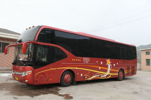 德州到东营汽车票多少元(德州到东营汽车票价详解，费用、时间与路线)