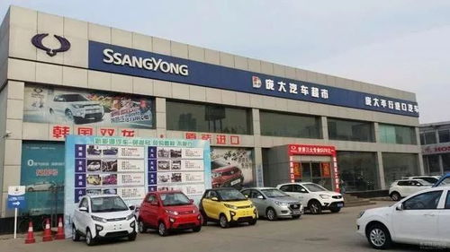 庞大汽车天津有多少个店(庞大汽车集团天津地区门店数量概览)