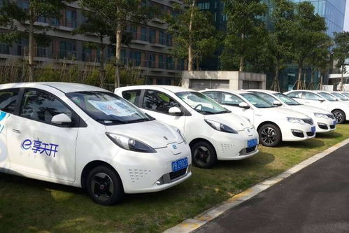 共享汽车有多少个牌子车(共享汽车的品牌与种类，市场概览)