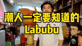 姚晨晒LABUBU原价499被炒至4999(姚晨晒LABUBU原价被炒至天价，揭示虚拟商品市场乱象)