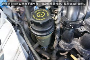 汽车要换多少种油和滤芯(汽车油液与滤芯更换全解析，种类、作用及更换时机)