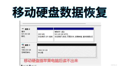 怎么免费弄华为壁纸电脑(免费获取华为壁纸电脑的方法指南)