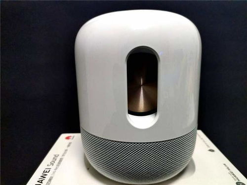 华为音响能连电脑怎么(华为音响与电脑的完美连接,简单、高效、音质卓越) 华为音响能连电脑怎么(华为音响与电脑的完美连接,简单、高效、音质卓越)
