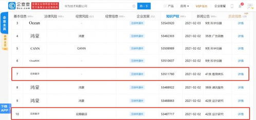 华为电脑翻译视频怎么翻译(华为电脑翻译视频功能，实现高效视频翻译的指南)