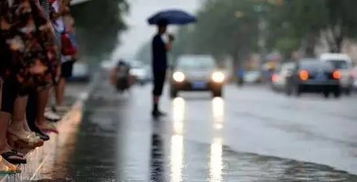 #亲历者视角下的南方暴雨#亲历者视角下的南方暴雨)