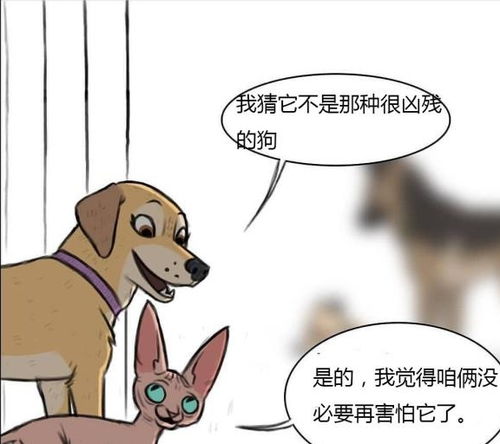 聊城老板卖猫狗粮暴赚230亿身家(聊城老板卖猫狗粮逆袭成功，暴赚230亿身家)
