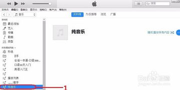 怎么把华为音乐放到电脑(如何将华为音乐成功导入电脑，详细步骤与操作指南)