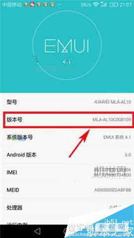 电脑华为上网宝怎么用(华为上网宝使用指南，电脑用户必备教程)