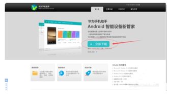 华为怎么设置电脑不更新(华为电脑如何设置不自动更新系统，理解与操作的指南)