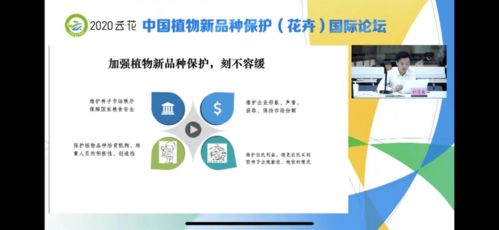 新买的华为电脑怎么保护(华为电脑保护指南，如何妥善保护您新买的华为电脑)