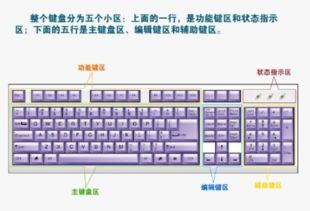 华为电脑键盘英文怎么打(华为电脑键盘英文打字指南)