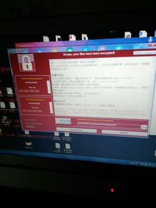 华为电脑病毒怎么打开(华为电脑病毒打开方式深度解析)