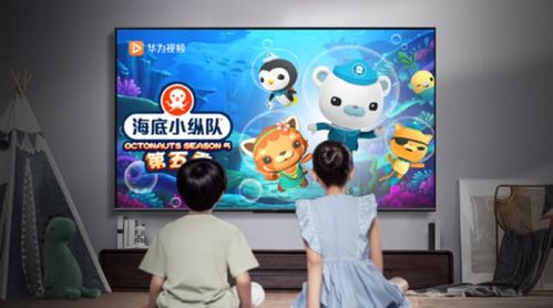 华为视频会员怎么放电脑(华为视频会员在电脑上如何畅享视听盛宴)