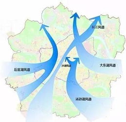 武汉已经热到鸟都中暑了(炎炎夏日，武汉热到鸟中暑—城市热岛效应的挑战与应对策略)