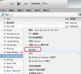 itunes华为电脑怎么下载(华为电脑如何下载iTunes，详细步骤与注意事项)