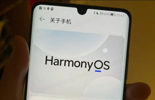华为电脑怎么更新鸿蒙(华为电脑如何更新鸿蒙系统—详细指南)