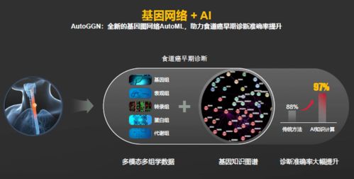 电脑怎么使用华为ai(华为AI在电脑使用中的实践与探索)