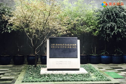 杨少华曾卖房借钱给儿子买古玩(杨少华曾卖房借钱给儿子买古玩的故事)