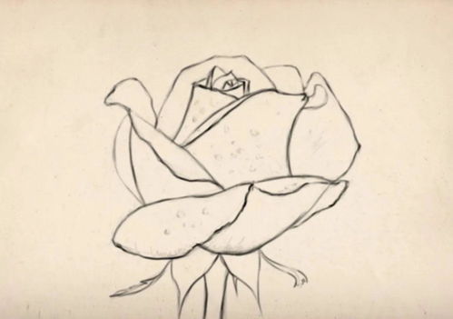 华为电脑绘画怎么画(华为电脑绘画入门指南,轻松掌握绘画技巧) 华为电脑绘画怎么画(华为电脑绘画入门指南,轻松掌握绘画技巧)