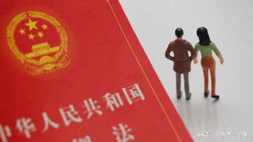 结婚1年离婚40万陪嫁被判为共同财产(结婚一年离婚，高额陪嫁引发财产纷争，法律如何界定共同财产？