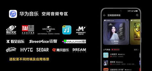 华为电脑怎么加声音输入(华为电脑声音输入增强指南，轻松提升音频体验)