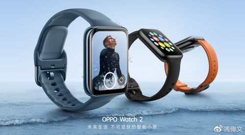 大同：将奖励翻8吨垃圾找手表环卫工(大同，将奖励翻8吨垃圾找手表的环卫工)