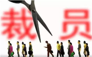大厂程序员被裁后制毒贩毒获刑(大厂程序员遭遇人生巨变，裁员后的制毒贩毒之路及其获刑)