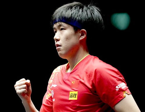 王楚钦4-0横扫张本智和夺冠(王楚钦4-0横扫张本智和夺冠，乒乓新星闪耀赛场)