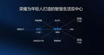 华为手机怎么查看铁粉