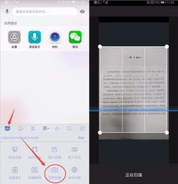 华为手机花草怎么识别