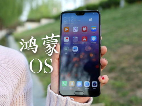 华为手机怎么有叫声