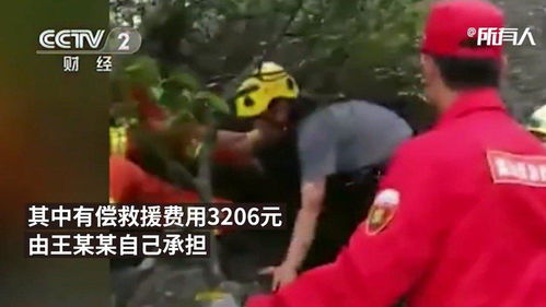 华为手机怎么壁纸滚动