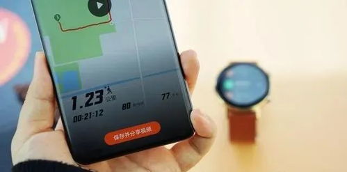 华为手机 轨迹怎么查